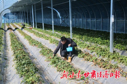 新甘肃经济日报 新甘肃经济日报